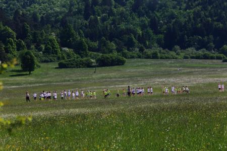 OTVORITEV IN PREDAJA ČEBELJNJAKA 01 FOTO LJUBO VUKELIČ